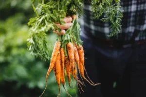 Koken met lokale ingrediënten in Houten